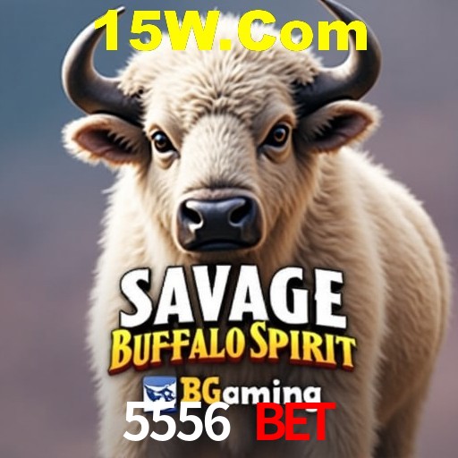 A Experiência Imersiva dos Cassinos Ao Vivo no 5556 Bet